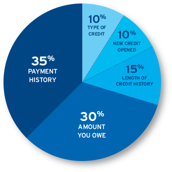 Credit Report Chart